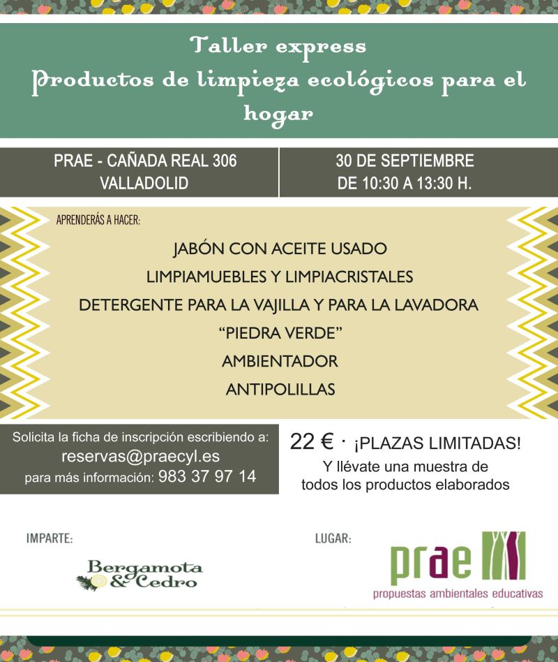 Taller de elaboración de productos de limpieza ecológicos para el hogar